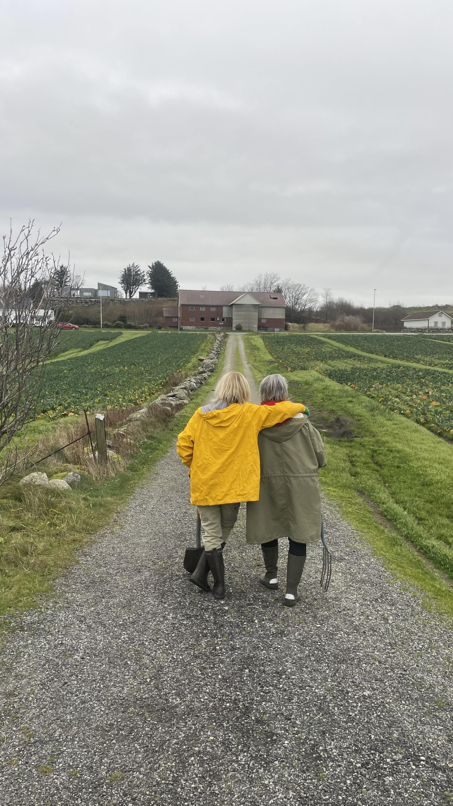 To personer bakfrå som går på ein veg
