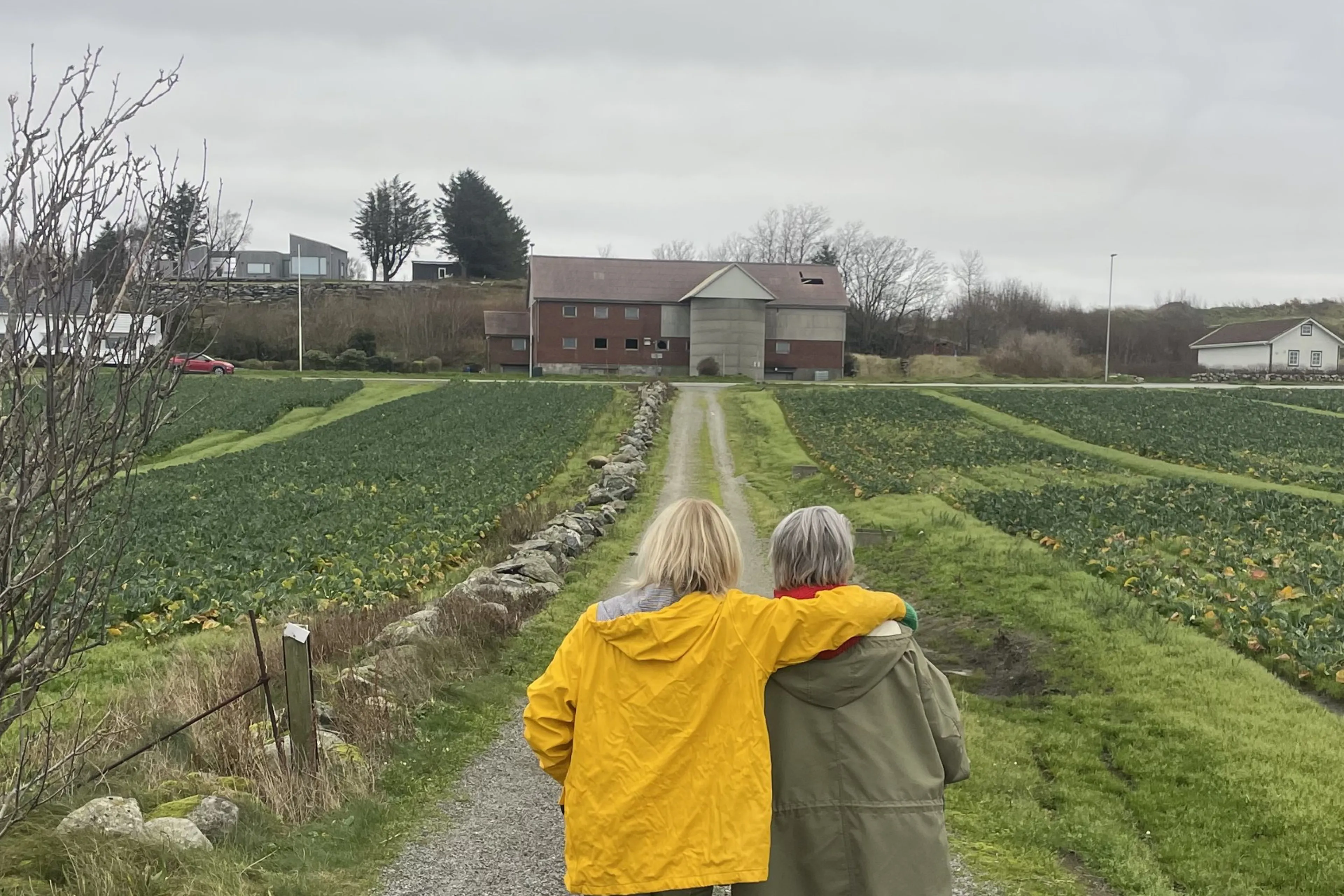 To personer bakfrå som går på ein veg